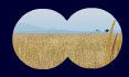 african grassland